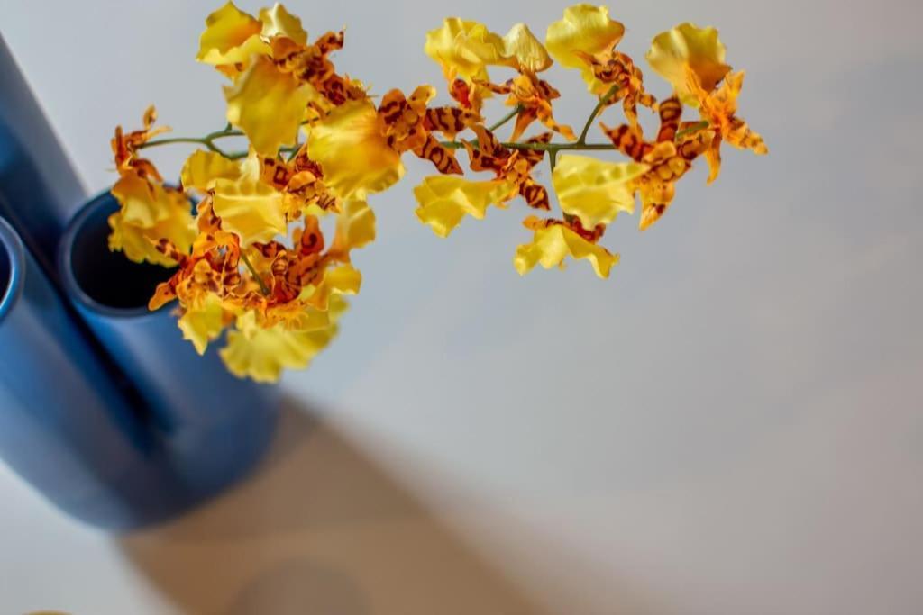 Mimosa- Loft Elegante Con Terrazza Nel Centro Di Siena Διαμέρισμα Εξωτερικό φωτογραφία